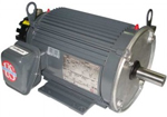 US Motors Vector/Inverter Duty Motor Image